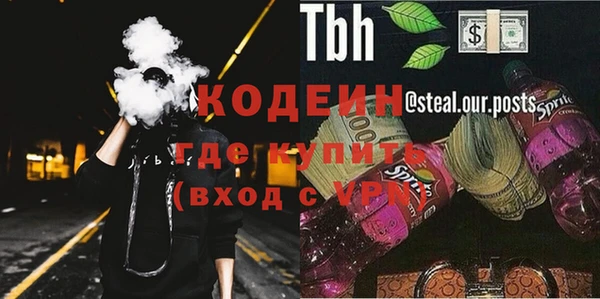 прущие грибы Каменск-Шахтинский