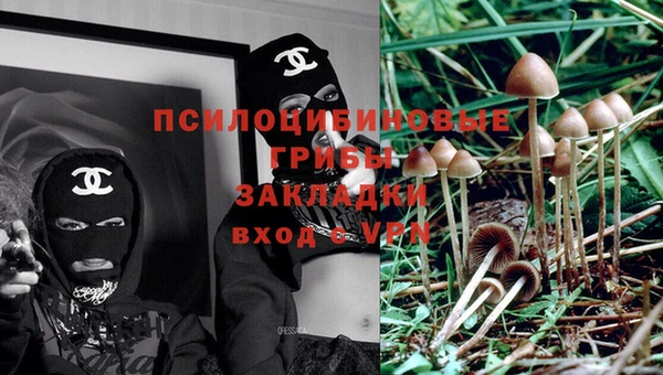 МДМА Каменка
