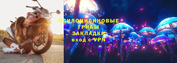PSILOCYBIN Инсар