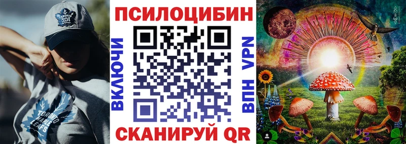 Псилоцибиновые грибы мицелий  Купить закладки  Заринск 