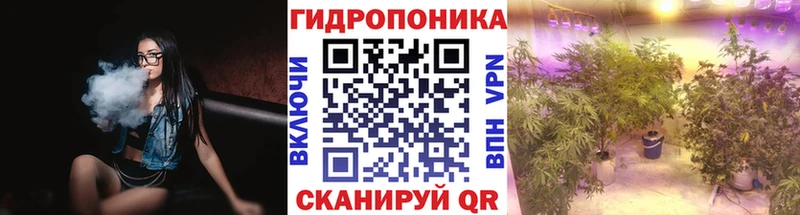 Бошки Шишки MAZAR  Купить закладки  Заринск 